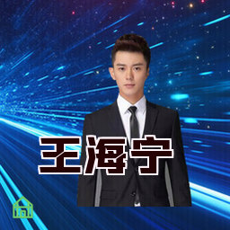 王海宁
